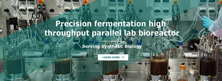 Bioréacteur de laboratoire parallèle à haut débit de fermentation de précision, service de biologie synthétique