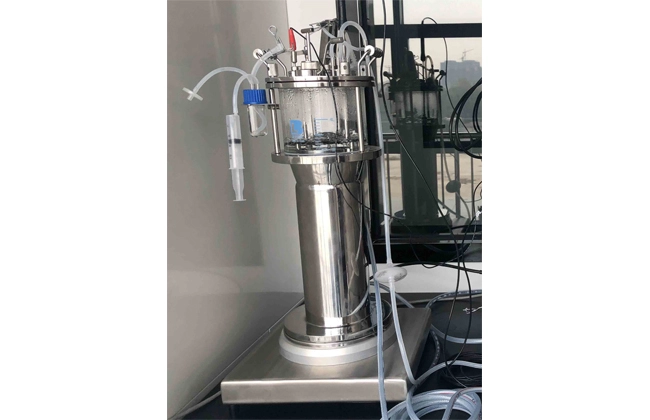 glass bioreactors