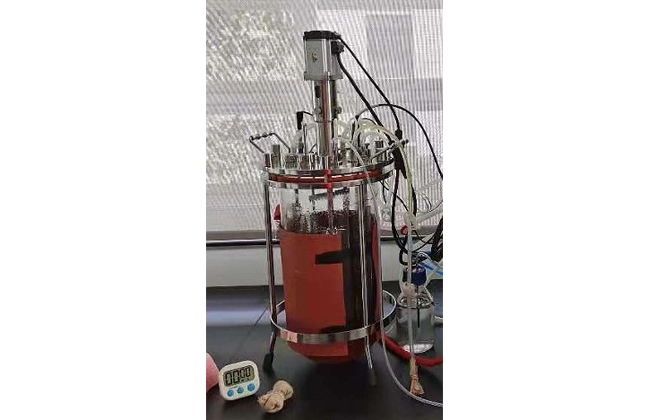 benchtop glass bioreactor