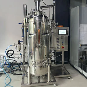 Fermenteur automatique de l'acier inoxydable 300L SIP