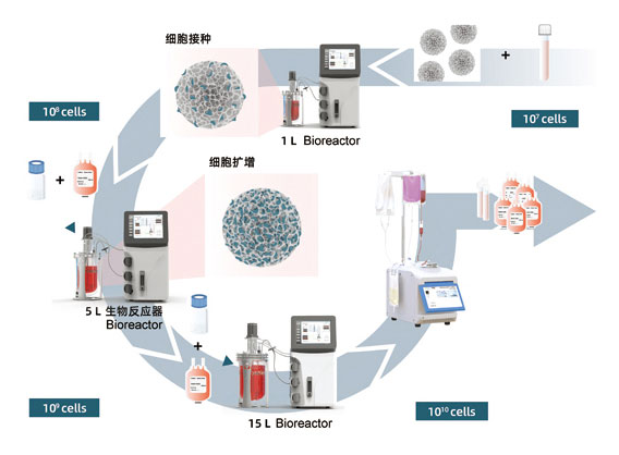 Sinotech Mammalian Cell Bioreactor