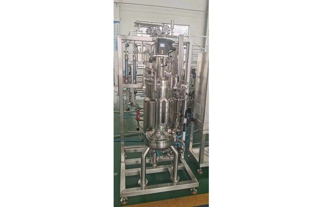 stainless bioreactor